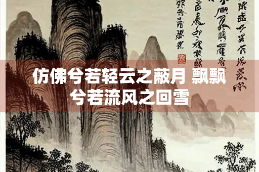 仿佛兮若轻云之蔽月 飘飘兮若流风之回雪