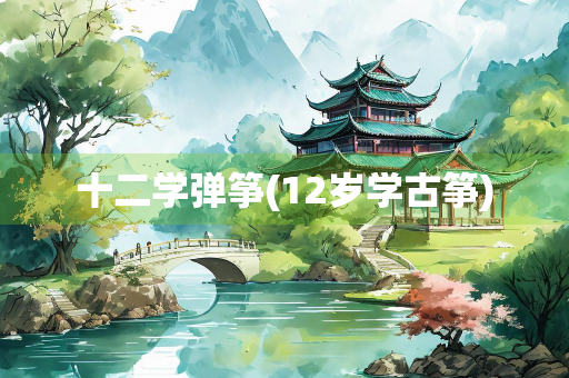 十二学弹筝(12岁学古筝)