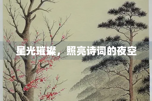 星光璀璨，照亮诗词的夜空