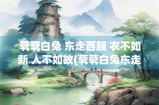 茕茕白兔 东走西顾 衣不如新 人不如故(茕茕白兔东走西顾对应的诗句)