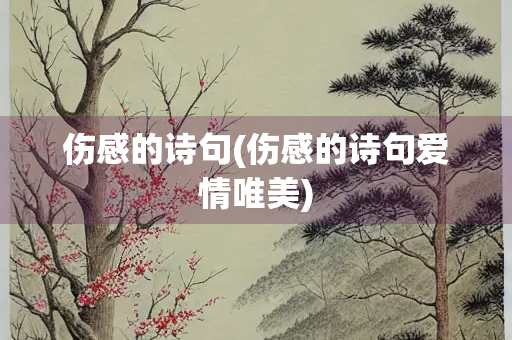 伤感的诗句(伤感的诗句爱情唯美)