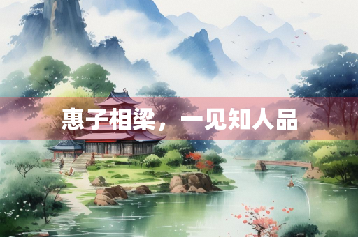 惠子相梁，一见知人品