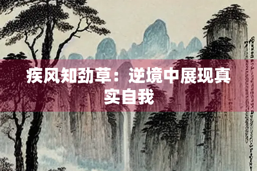 疾风知劲草：逆境中展现真实自我