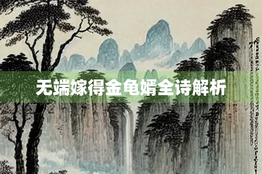 无端嫁得金龟婿全诗解析