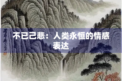 不已己悲：人类永恒的情感表达