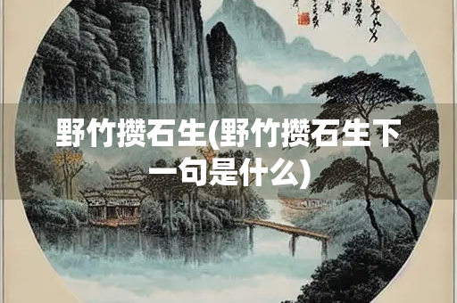 野竹攒石生(野竹攒石生下一句是什么)