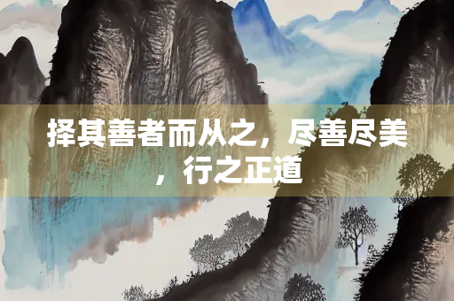 择其善者而从之，尽善尽美，行之正道