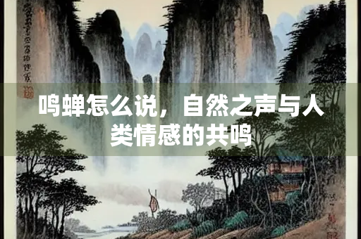鸣蝉怎么说，自然之声与人类情感的共鸣