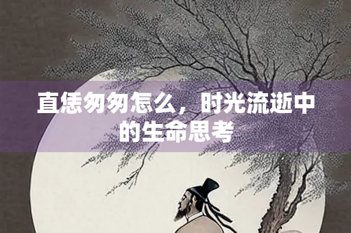 直恁匆匆怎么，时光流逝中的生命思考