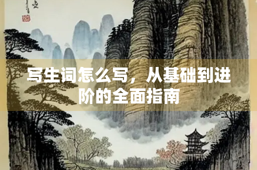 写生词怎么写，从基础到进阶的全面指南