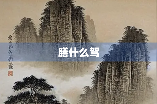 膳什么驾 膳什么驾