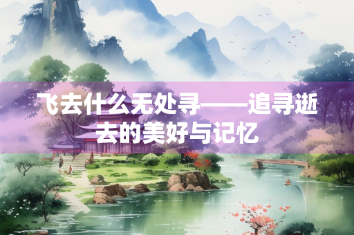 飞去什么无处寻——追寻逝去的美好与记忆