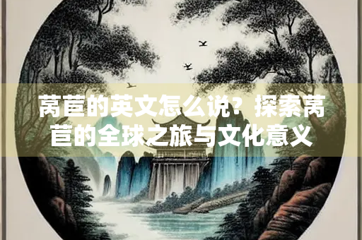 莴苣的英文怎么说？探索莴苣的全球之旅与文化意义