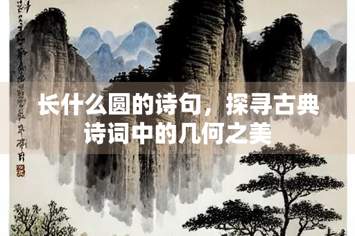 长什么圆的诗句，探寻古典诗词中的几何之美