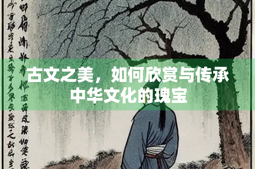 古文之美，如何欣赏与传承中华文化的瑰宝