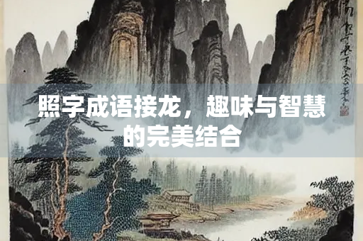 照字成语接龙，趣味与智慧的完美结合