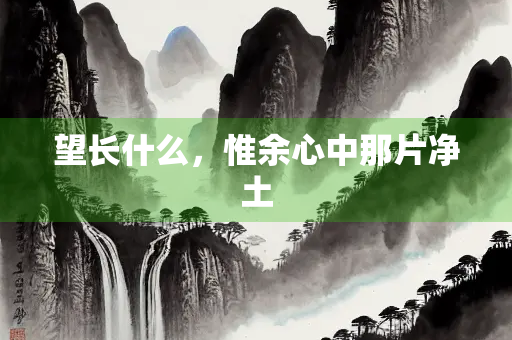望长什么，惟余心中那片净土