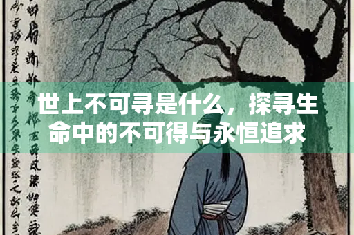 世上不可寻是什么,探寻生命中的不可得与永恒追求 世上不可寻是什么,探寻生命中的不可得与永恒追求