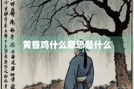 黄昏鸡什么意思是什么