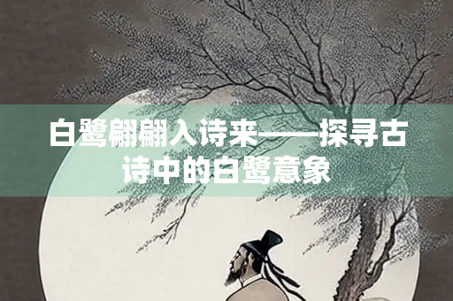 白鹭翩翩入诗来——探寻古诗中的白鹭意象