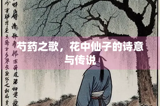 芍药之歌，花中仙子的诗意与传说