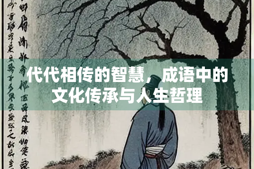 代代相传的智慧，成语中的文化传承与人生哲理