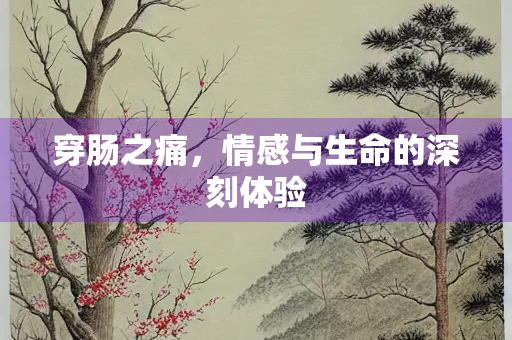 穿肠之痛，情感与生命的深刻体验
