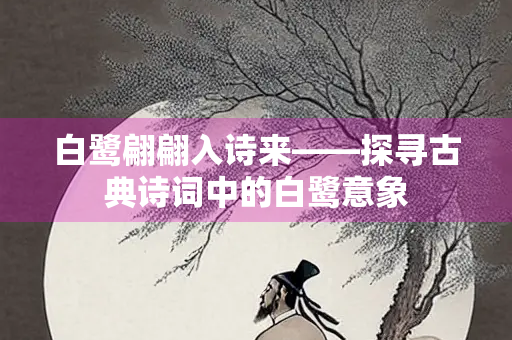 白鹭翩翩入诗来——探寻古典诗词中的白鹭意象