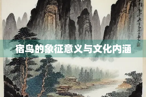宿鸟的象征意义与文化内涵