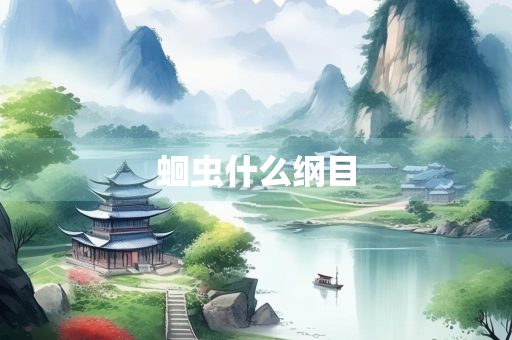 蛔虫什么纲目