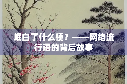 岷白了什么梗？——网络流行语的背后故事