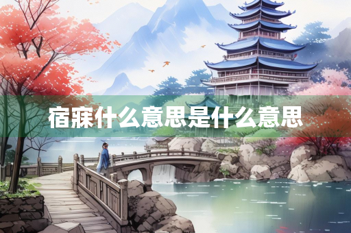 宿寐什么意思是什么意思