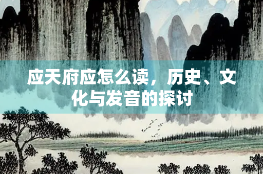 应天府应怎么读，历史、文化与发音的探讨