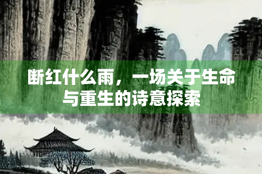 断红什么雨，一场关于生命与重生的诗意探索