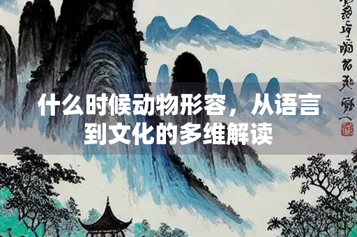 什么时候动物形容，从语言到文化的多维解读