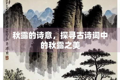 秋露的诗意，探寻古诗词中的秋露之美