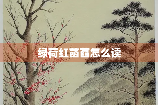 绿荷红菡萏怎么读