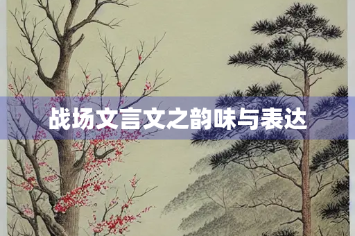 战场文言文之韵味与表达