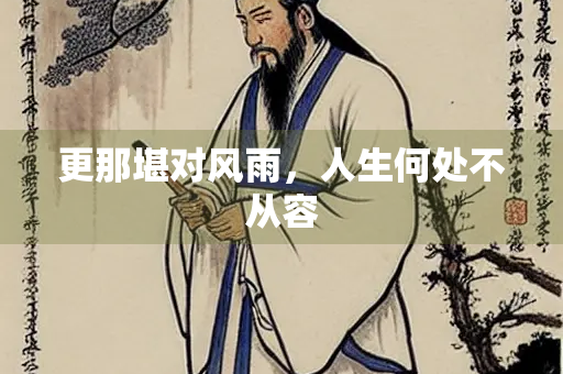 更那堪对风雨，人生何处不从容