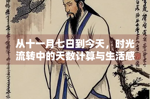 从十一月七日到今天，时光流转中的天数计算与生活感悟
