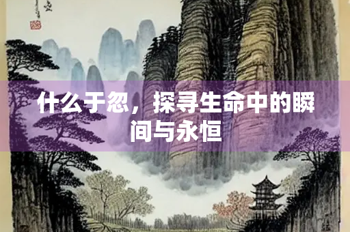 什么于忽，探寻生命中的瞬间与永恒