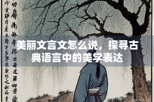 美丽文言文怎么说，探寻古典语言中的美学表达