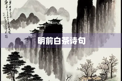 明前白茶诗句