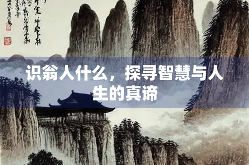 识翁人什么，探寻智慧与人生的真谛