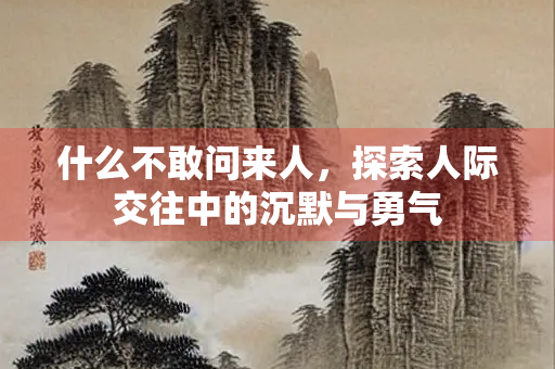 什么不敢问来人，探索人际交往中的沉默与勇气