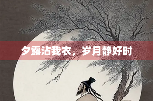 夕露沾我衣，岁月静好时