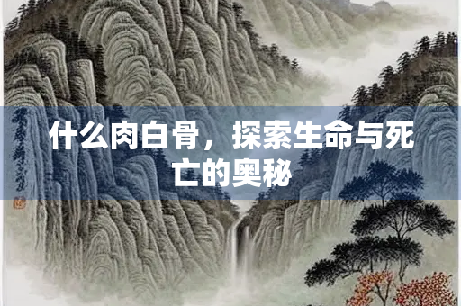 什么肉白骨，探索生命与死亡的奥秘