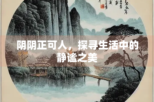阴阴正可人，探寻生活中的静谧之美