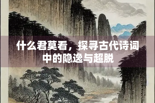 什么君莫看，探寻古代诗词中的隐逸与超脱