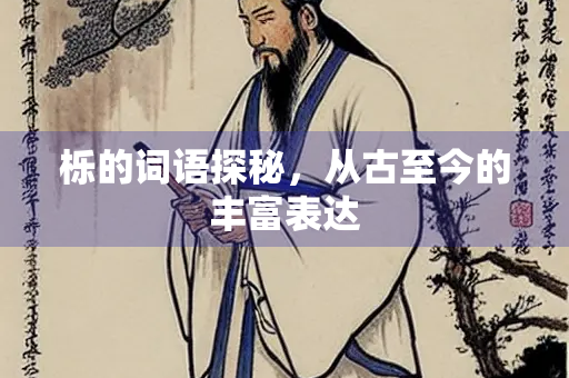 栎的词语探秘，从古至今的丰富表达